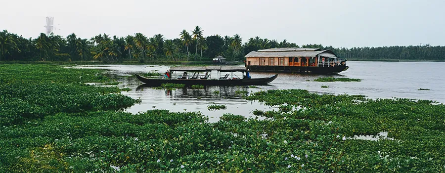 Alleppey backwaters houseboat