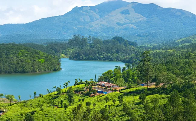  Munnar: An International Tourism Destination in the Heart of Kerala