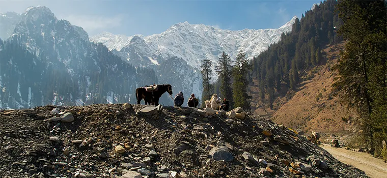 Manali Snow & Serenity Escape