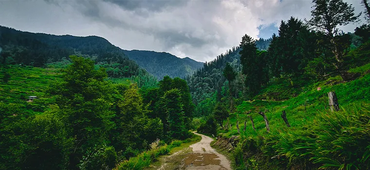 Shimla & Manali Delight