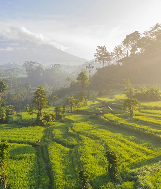 Beautiful Bali with Malaysia