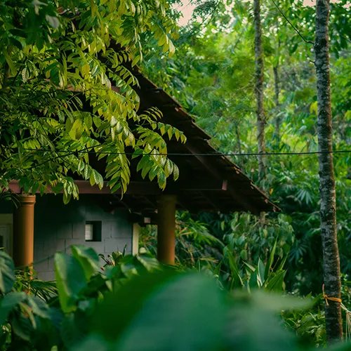 Garden City & Heritage