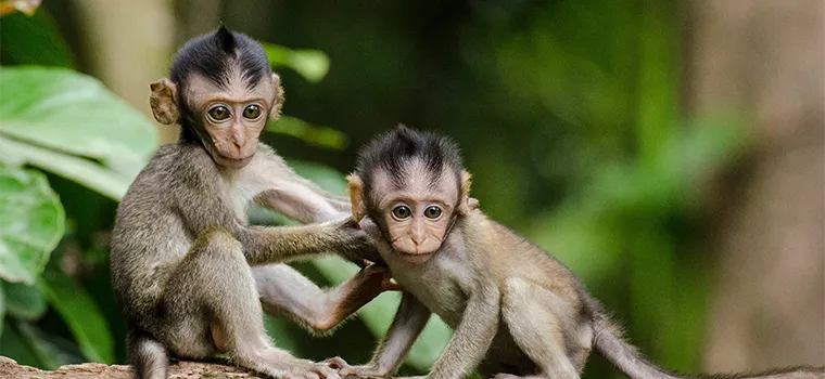 From Hills to Oceans