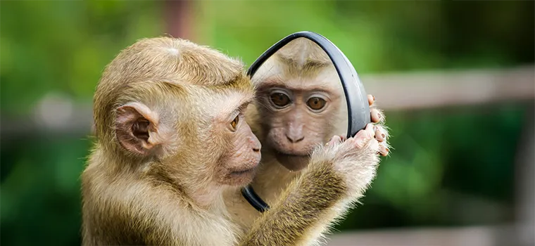 Kerala Coast & Hills