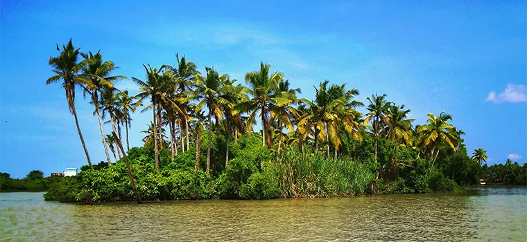 Kerala Grand Nature