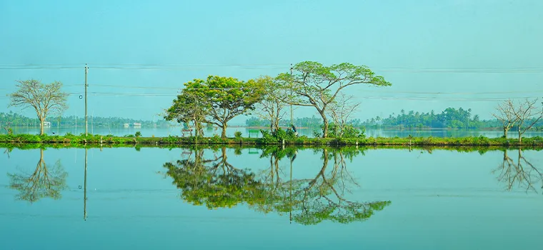 Kochi Coastal Escape