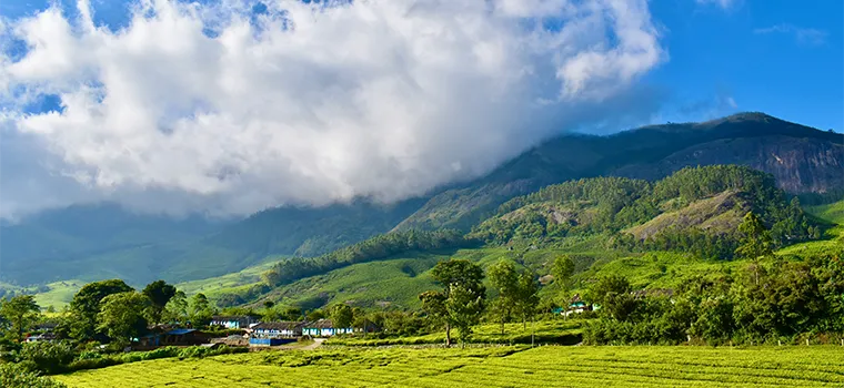 Kerala Luxe Experience