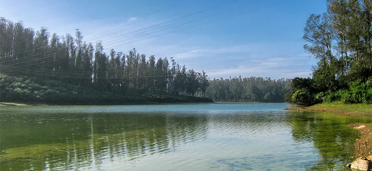 Nilgiris Royal Route