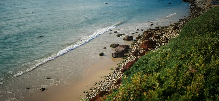 Serene Shores Kerala