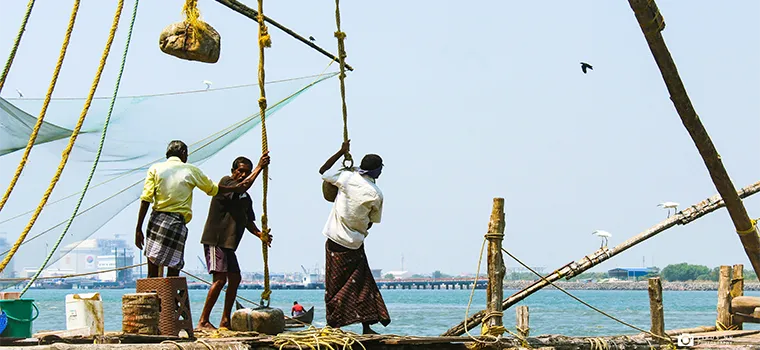 Serene Shores Kerala