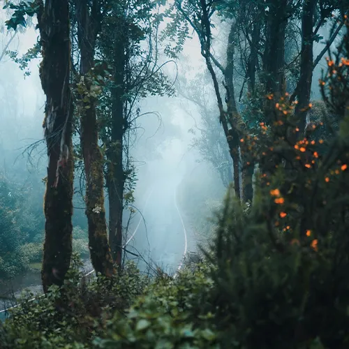 Southern Hill Kingdoms