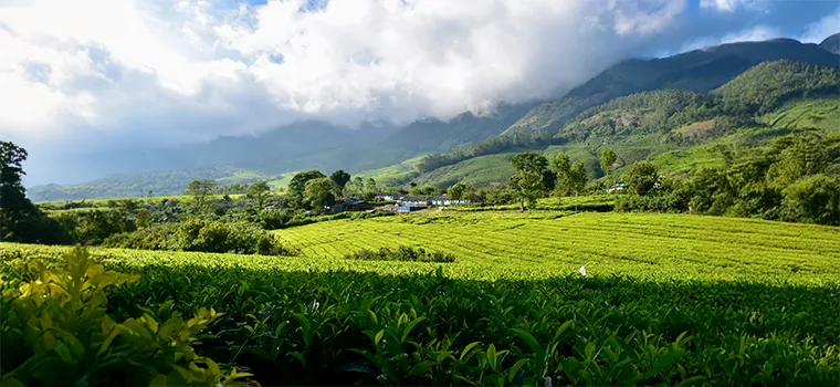 Ultimate Kerala Discovery