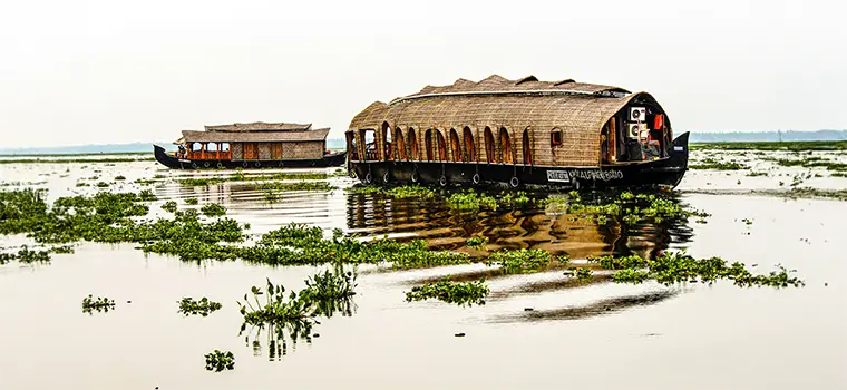 Waterfall & Backwater