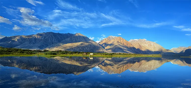 Ultimate Ladakh Experience