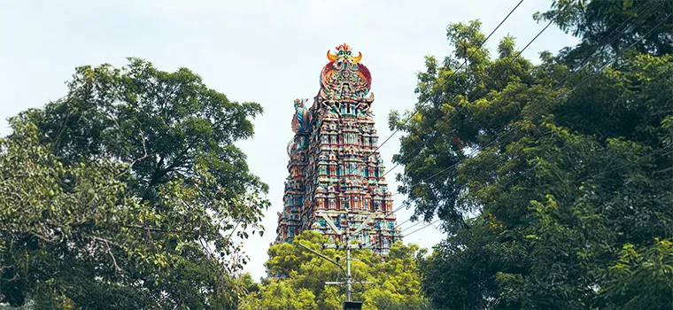 Southern Serenity Journey