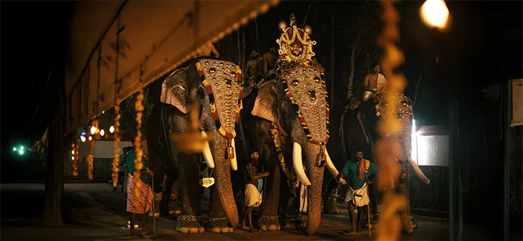 Divine Kerala Temple Tour