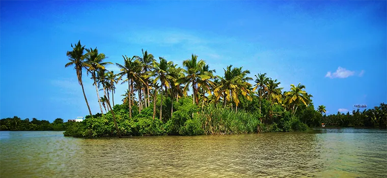 Divine South Grand Trail