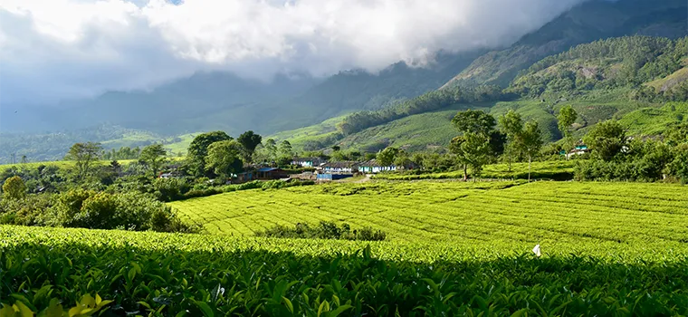 Temples, Hills & Heritage