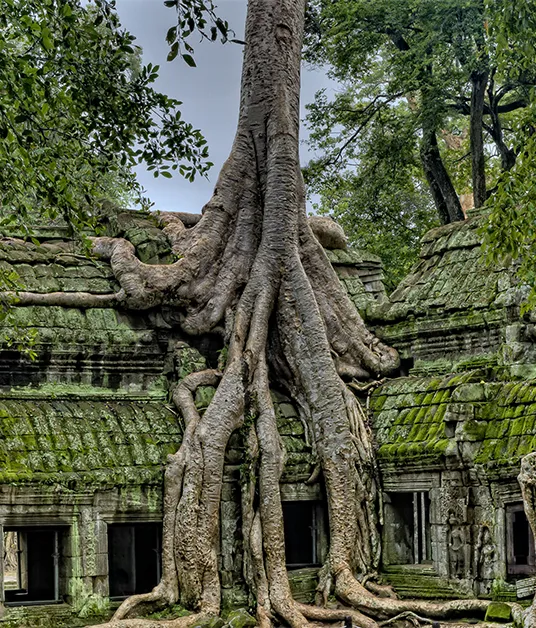 Vietnam & Cambodia Highlights